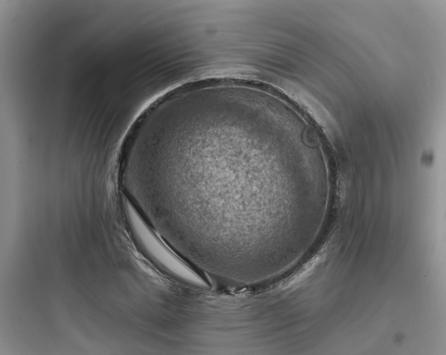 X0000097920830200803211525