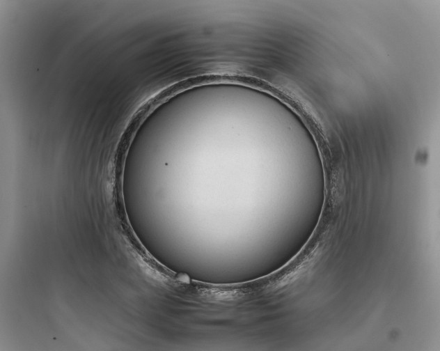 X0000097920831200803211525