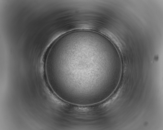 X0000097920835200803211525