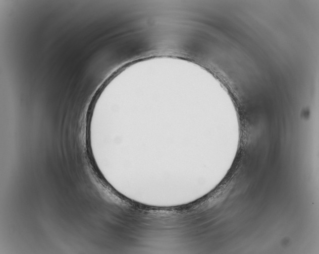 X0000097920836200803211525