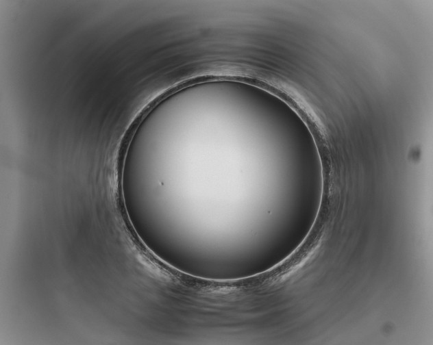 X0000097920837200803211525