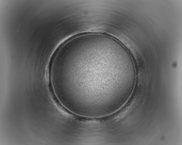 X0000097920838200803211525