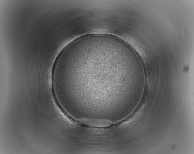 X0000097920839200803211525