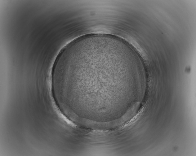X0000097920840200803211525