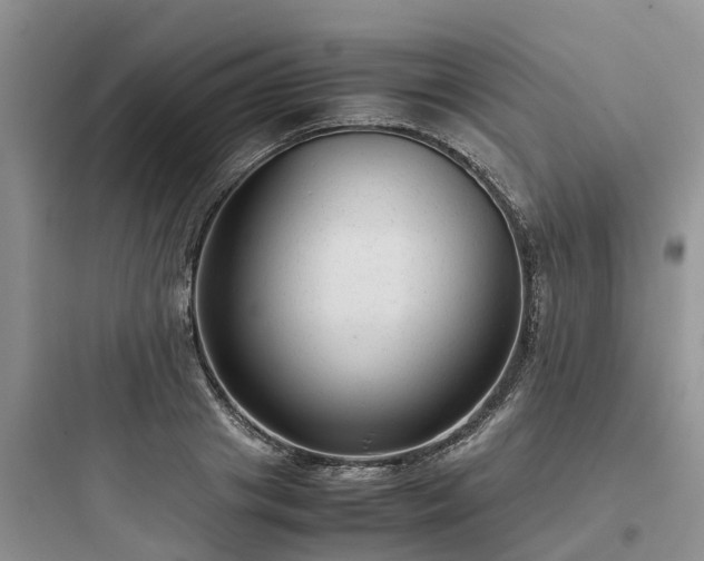 X0000097920841200803211525