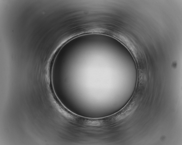 X0000097920843200803211526