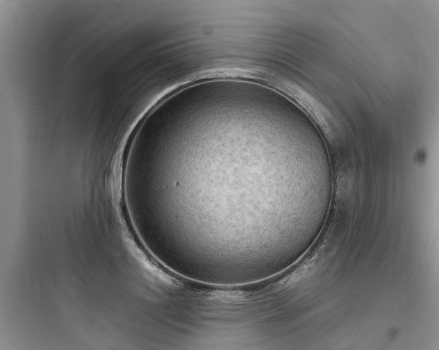 X0000097920844200803211526