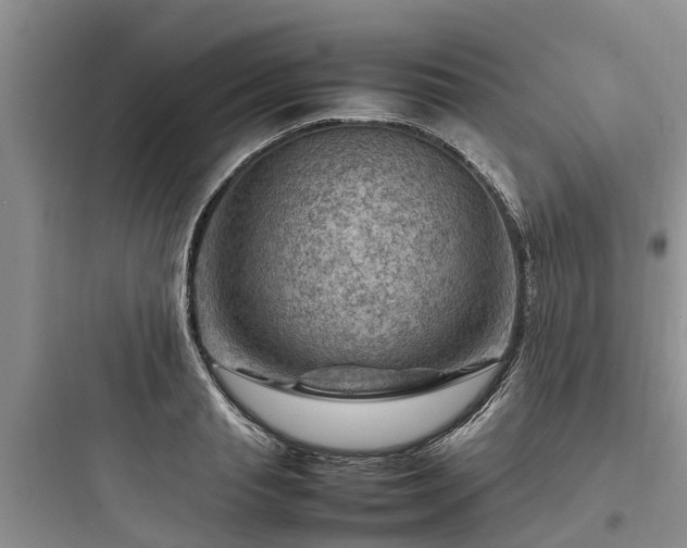 X0000097920845200803211526
