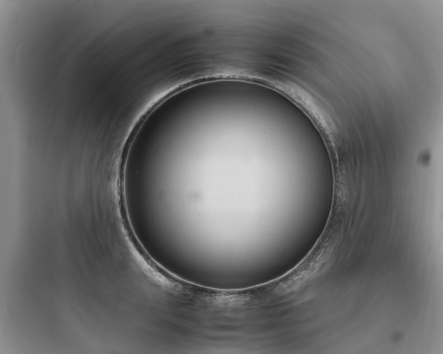 X0000097920847200803211526