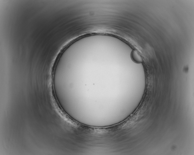 X0000097920848200803211526