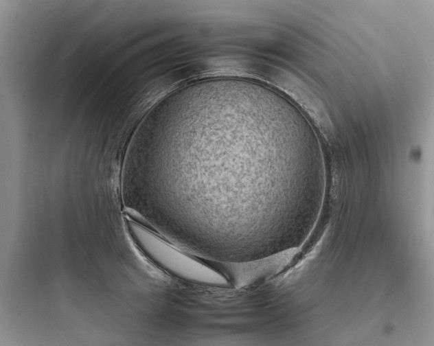 X0000097920849200803211526
