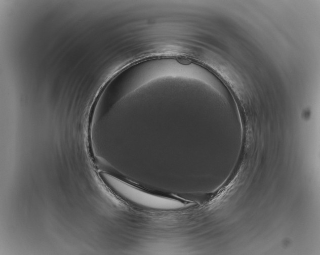 X0000097920850200803211526