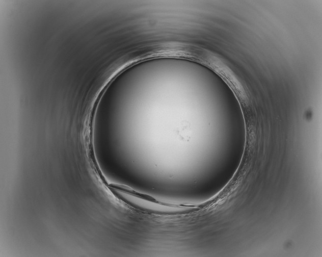 X0000097920852200803211526