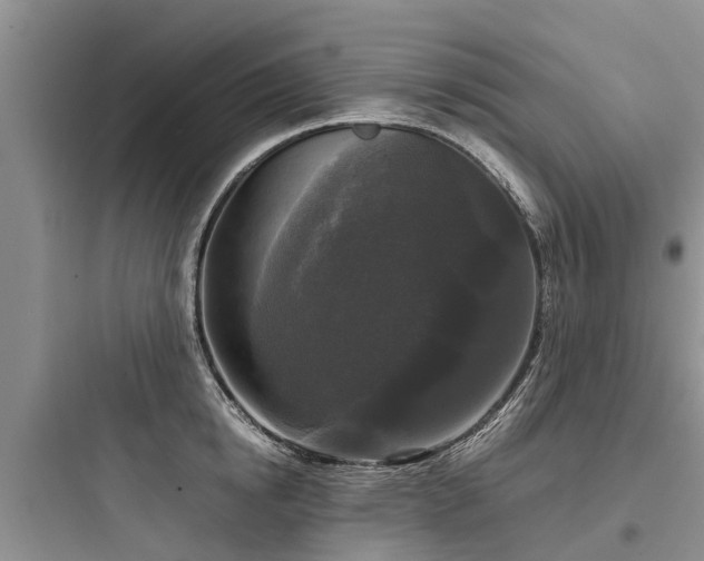 X0000097920854200803211526