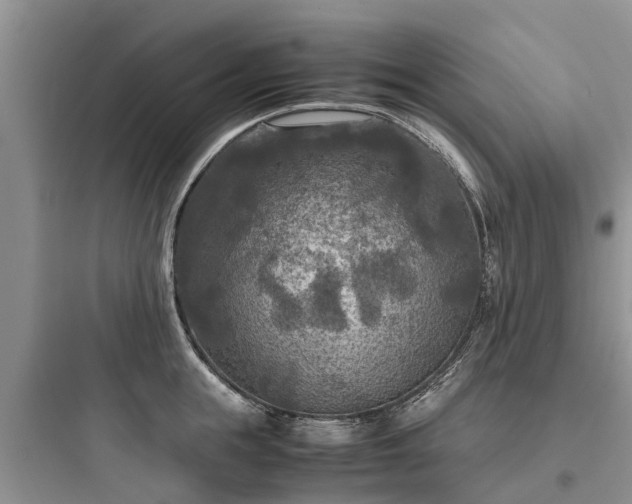 X0000097920855200803211526