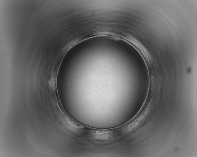X0000097920857200803211526