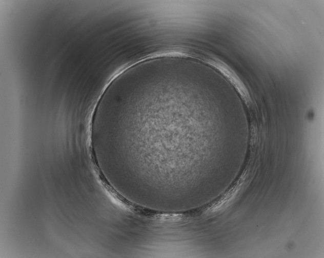 X0000097920858200803211526