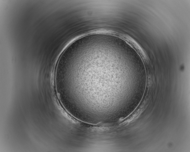 X0000097920860200803211526