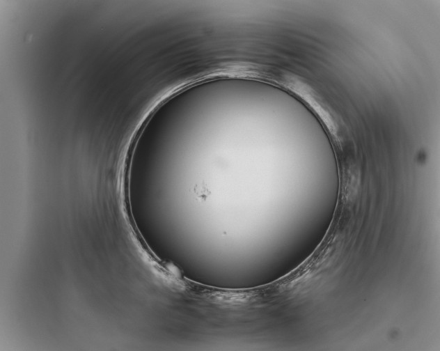 X0000097920861200803211526