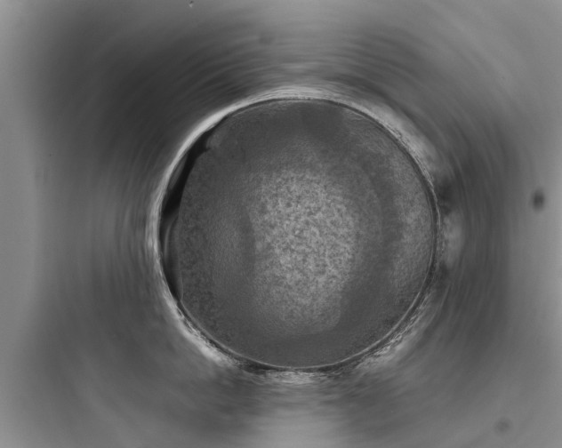 X0000097920862200803211526