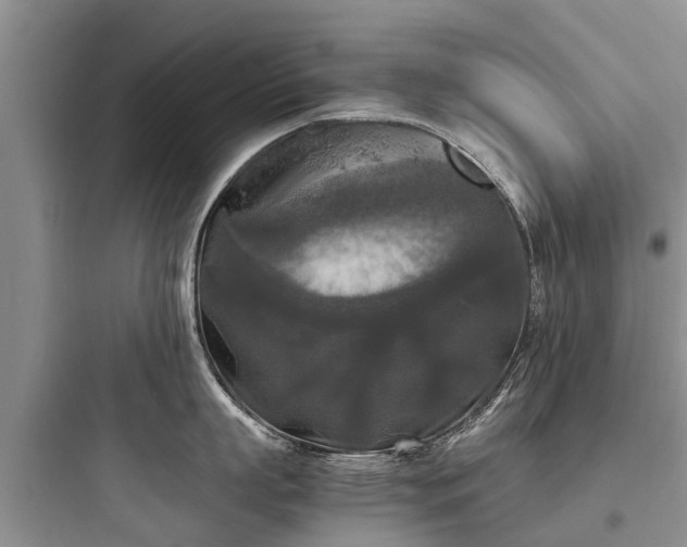 X0000097920863200803211526