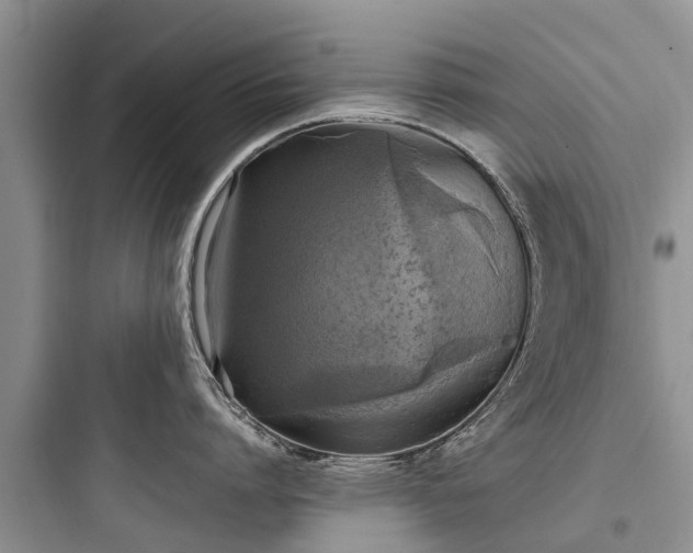 X0000097920864200803211526