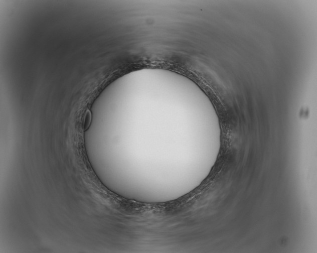 X0000097920865200803211525