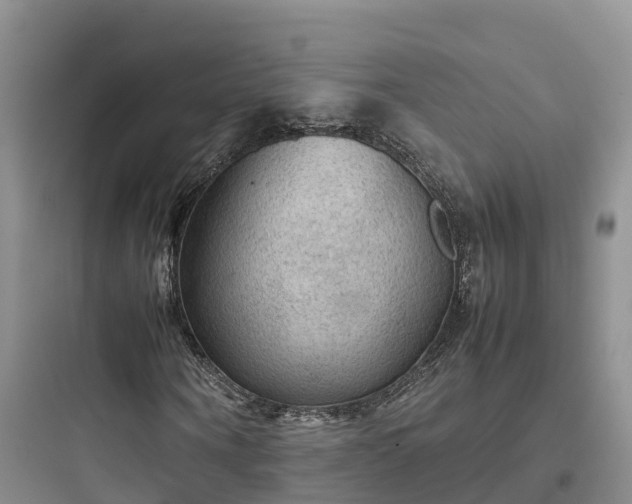 X0000097920866200803211525