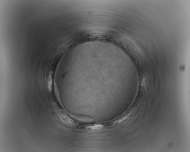 X0000097920868200803211525