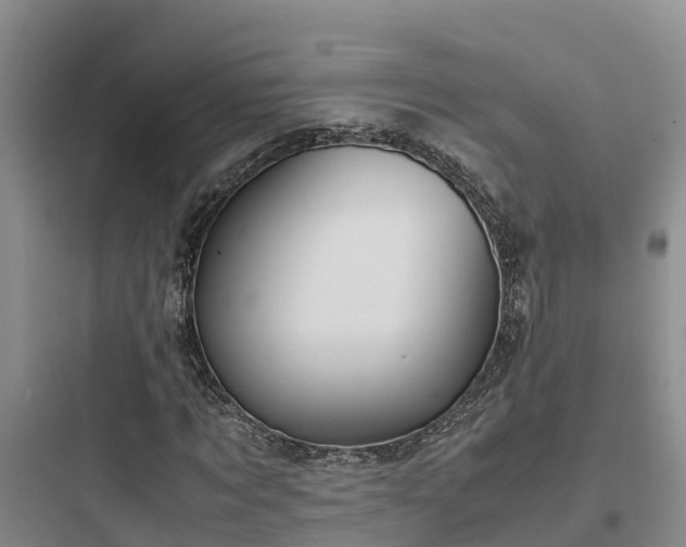 X0000097920869200803211525