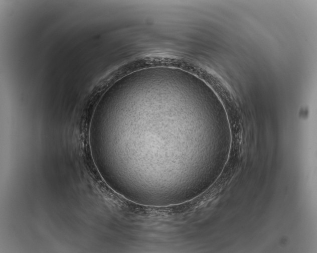 X0000097920870200803211525