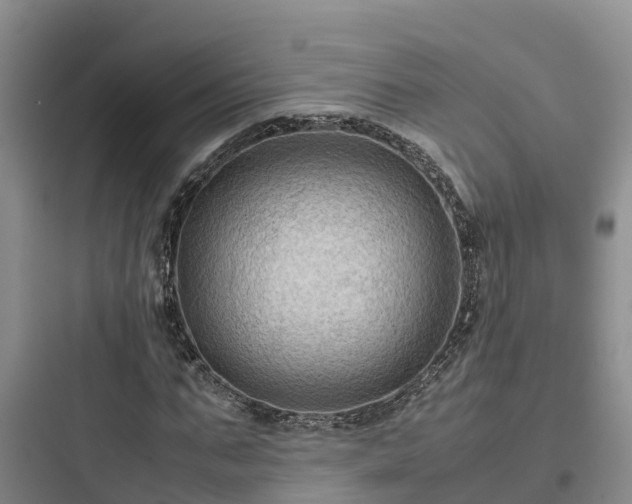 X0000097920871200803211525