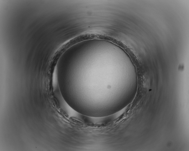 X0000097920872200803211525