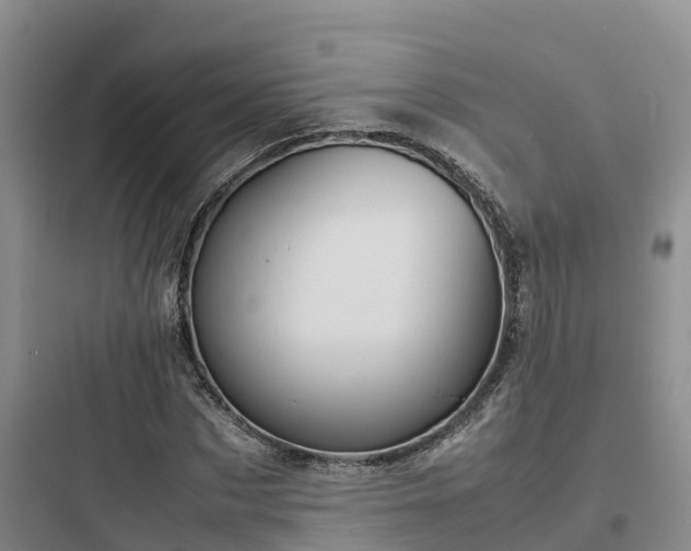 X0000097920873200803211525