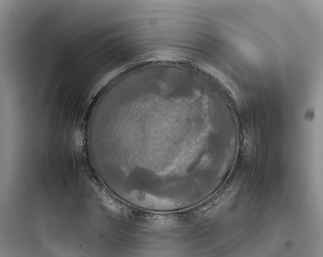 X0000097920874200803211525