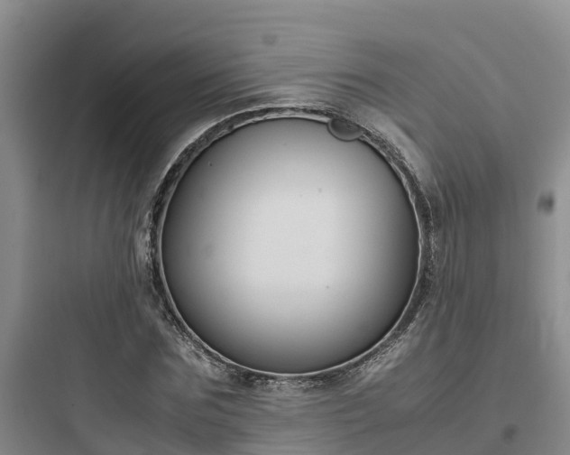 X0000097920875200803211525