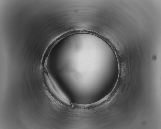 X0000097920876200803211525