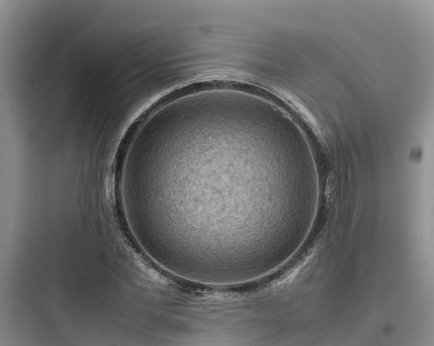 X0000097920877200803211525