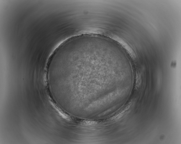X0000097920878200803211525