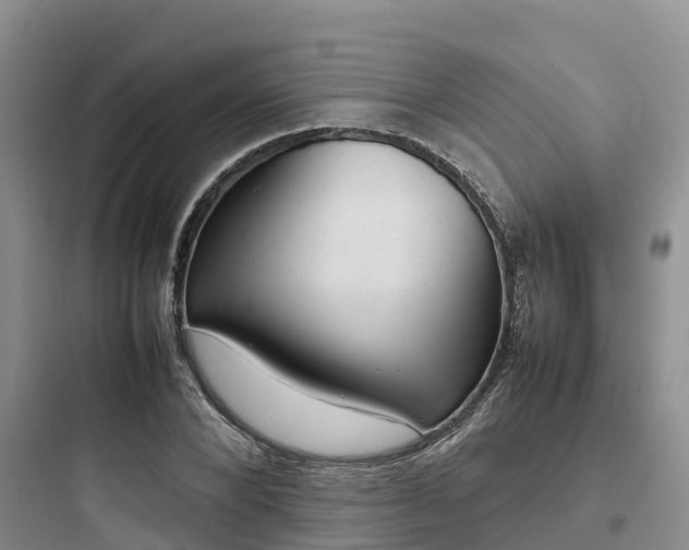 X0000097920880200803211525
