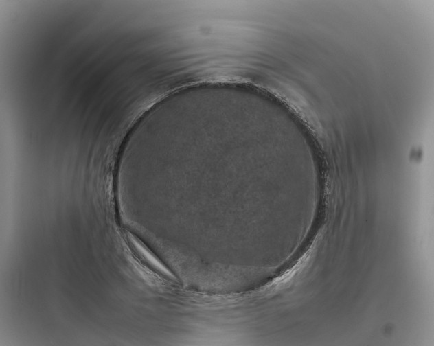 X0000097920881200803211525