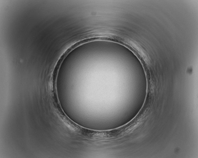 X0000097920883200803211525