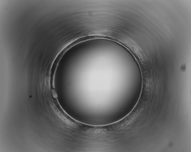 X0000097920884200803211525