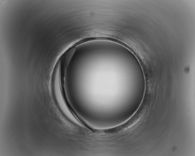X0000097920885200803211525