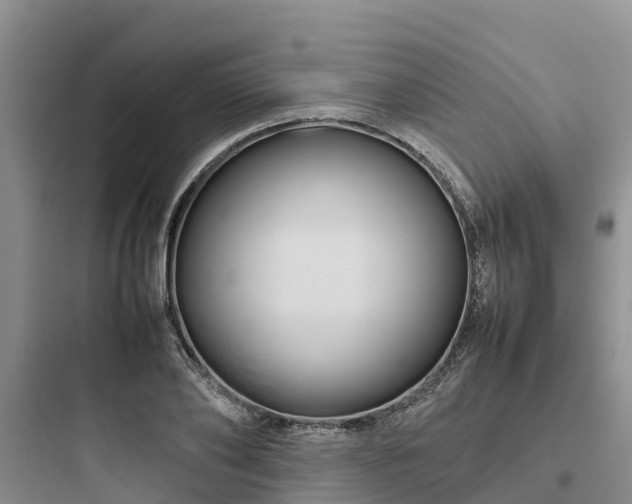 X0000097920886200803211525