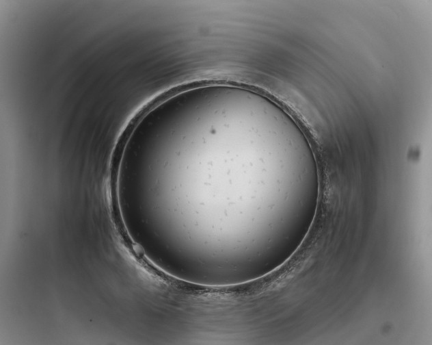 X0000097920888200803211525
