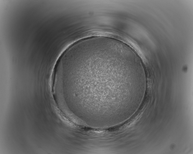 X0000097920891200803211525