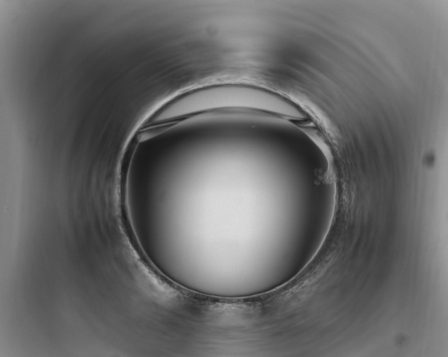 X0000097920894200803211525