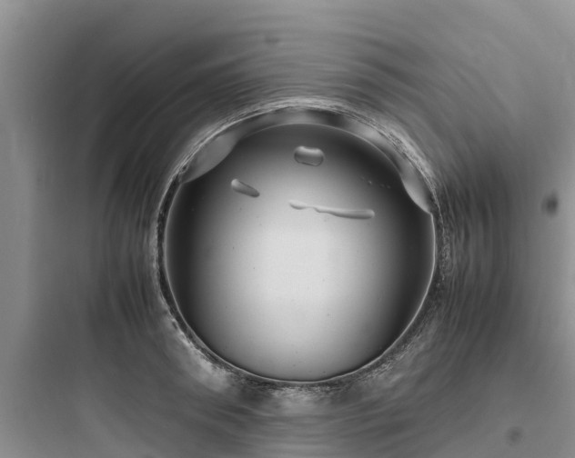 X0000097920898200803211525