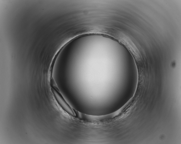X0000097920900200803211524